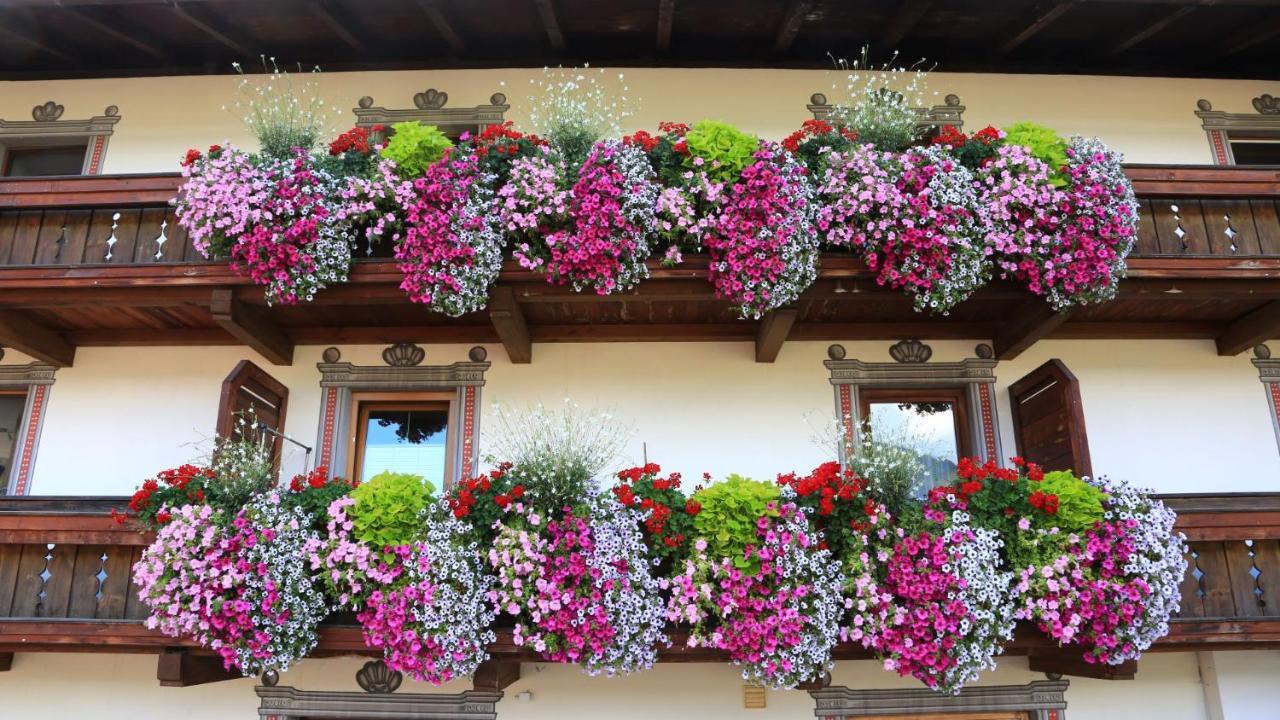 Apartment Edith Telfes im Stubai Bagian luar foto